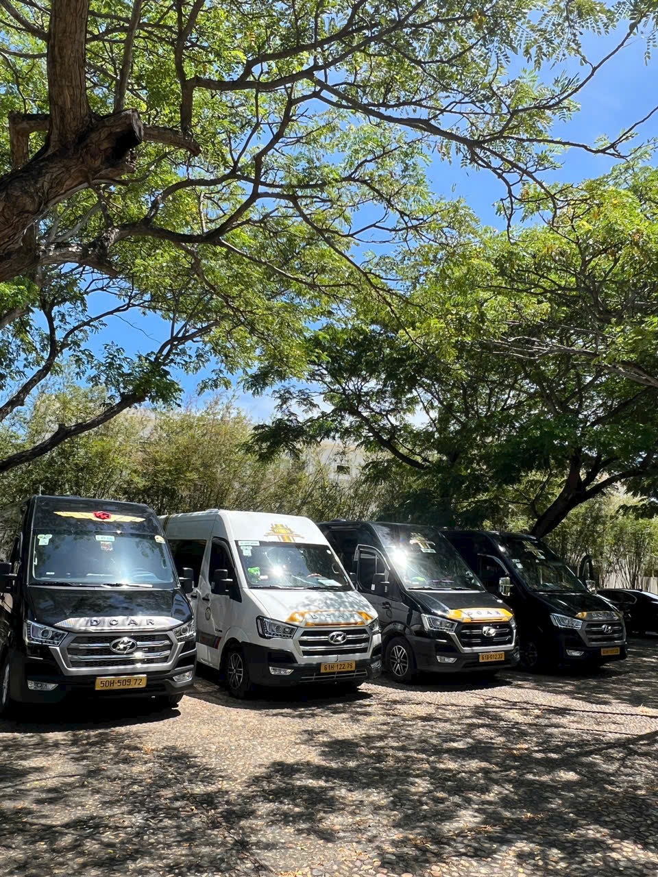 z70124041180245ca66a873769983b18eadbbb54cf3d3a